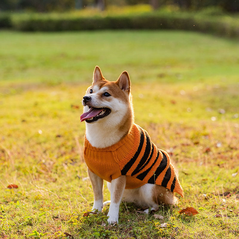 Halloween Dog Sweaters Pet Costume Teddy Warm Leisure Sweater Cosplay Clothes For Dogs Pets Outfits Secondary image