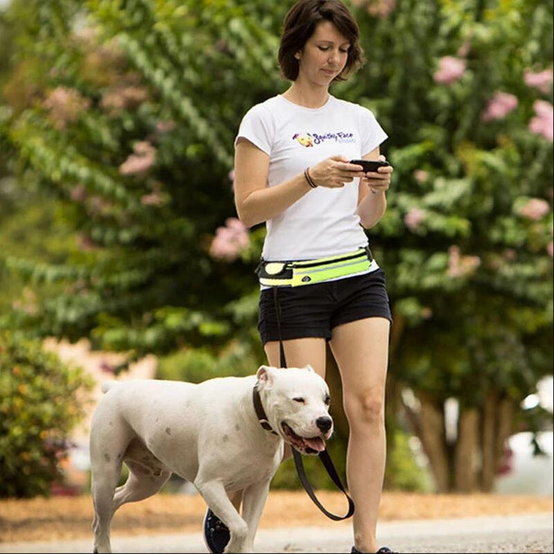 Hands Free Dog Leash Pet