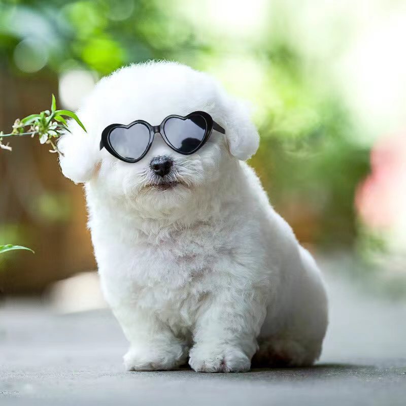 Doll Sunglasses Pet Toy Accessories Secondary image
