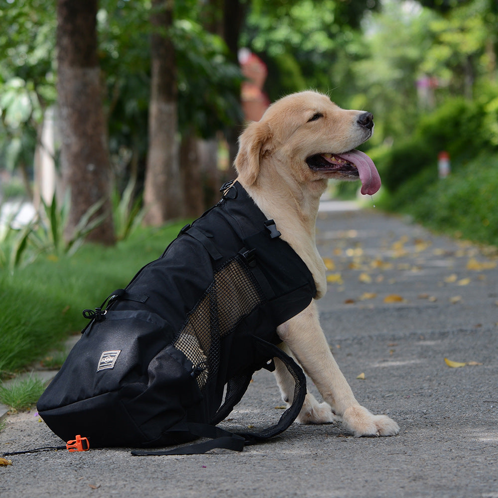 Ventilated And Breathable Pet Backpack Main image