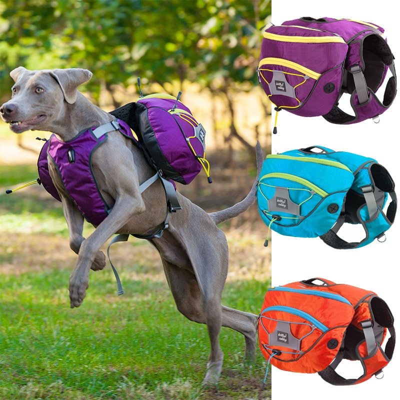 Pet self backpack Main image