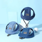 Pet Hat With Ear Holes For Medium