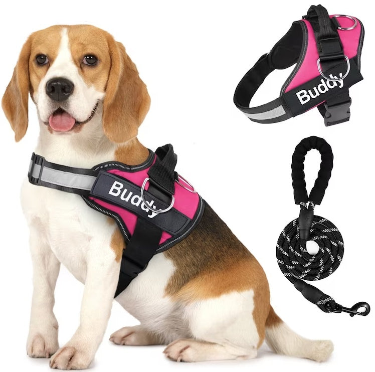 Pet Clothing Dog Couple