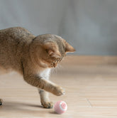 Automatic Moving Bouncing Rolling Ball Smart Cat Toy Ball Se