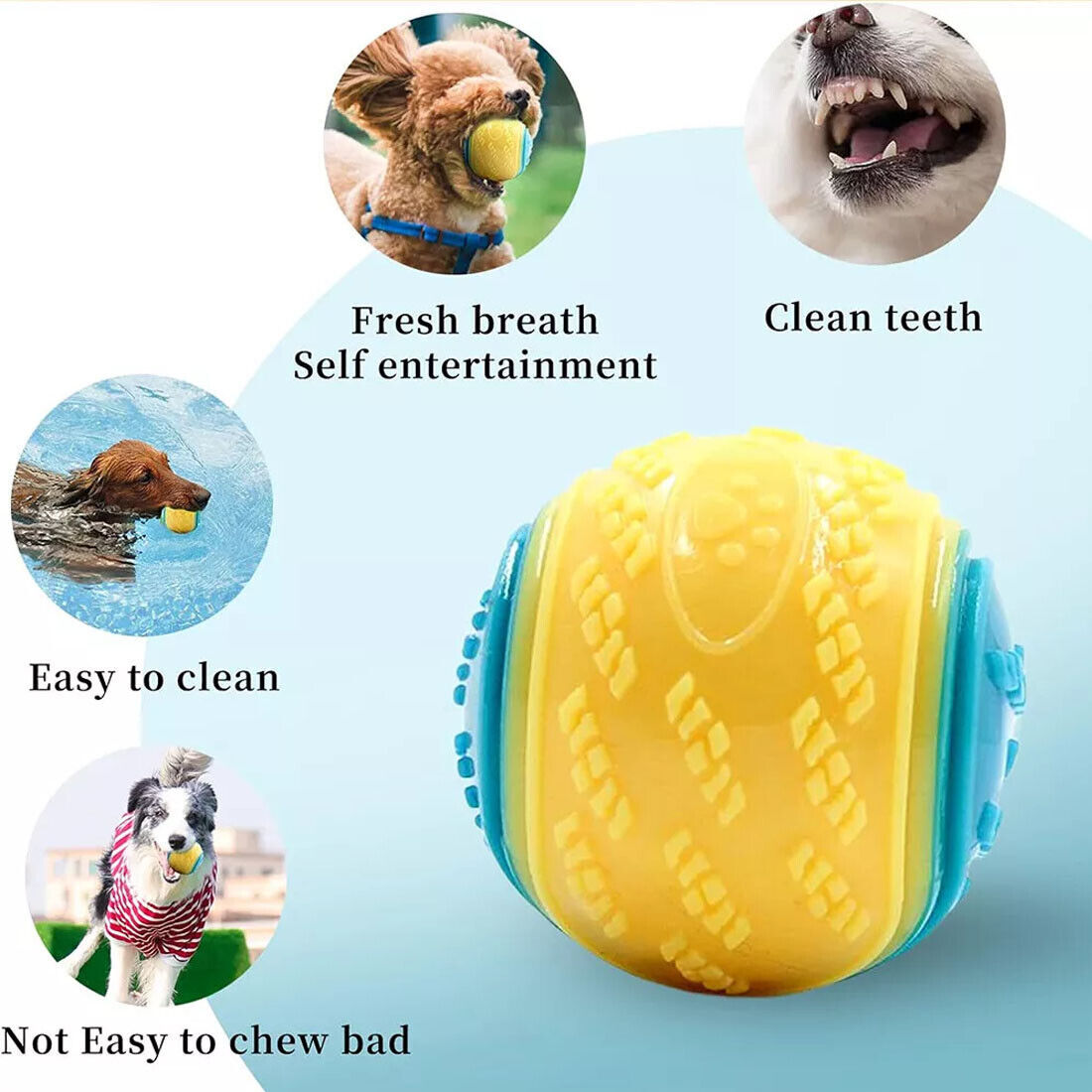 Scooby-Doo Durable Squeaky Set Of 8 Dog Balls For Teeth Cleaning Interactive UK Main image