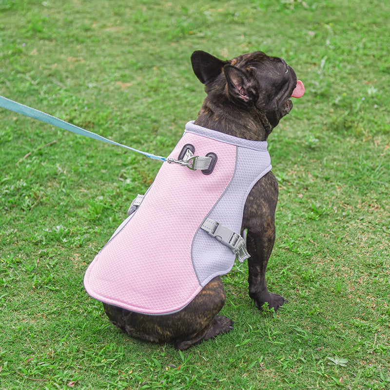 Summer Pet Outdoor Breathable Cooling Vest Secondary image