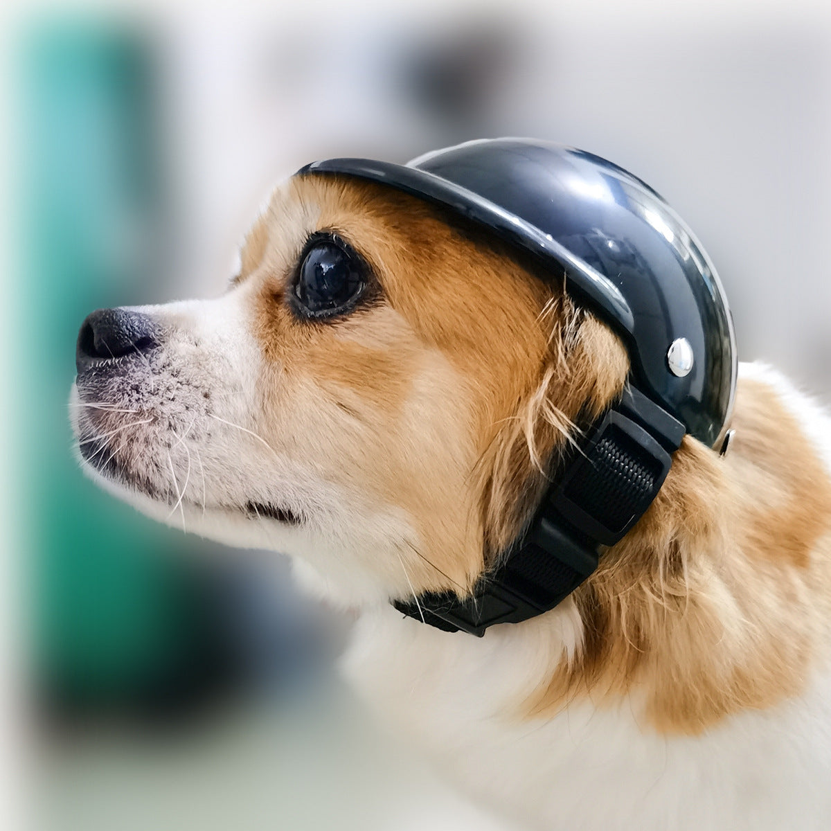 Pet Helmet New Motorcycle Helmet Dog Cat Accessories Pet Toy Hat Headwear Main image