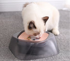 Pet Dog Bowl Floating