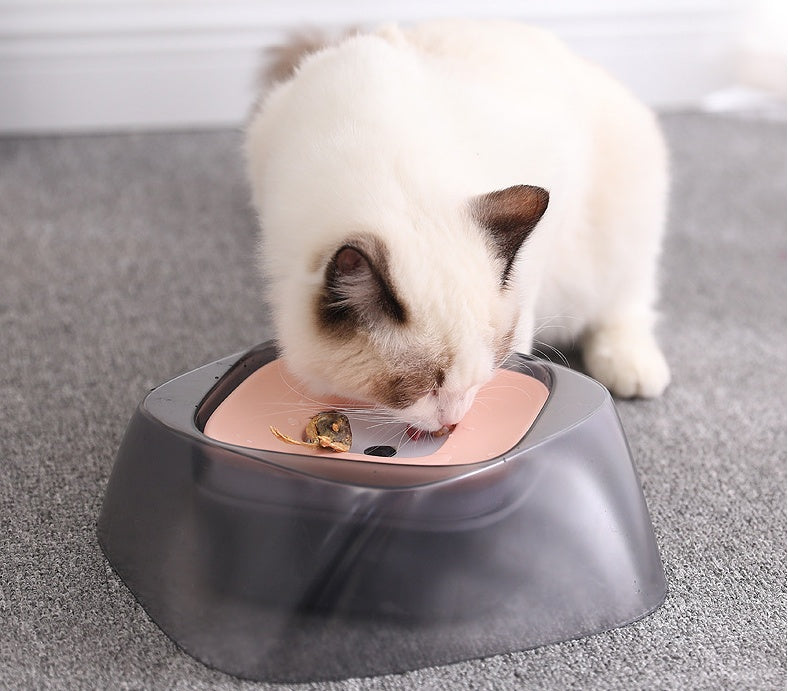 Pet Dog Bowl Floating