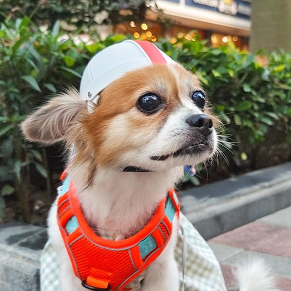 Pet Ride Motorcycle Safety Helmet Main image