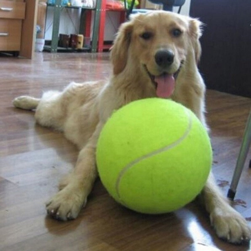 Dog Durable And Fun Rubber Molar Tennis Main image
