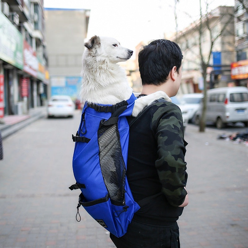 Portable Pet Dog Carrier Backpack – Double Shoulder Travel Bag for Small & Medium Dogs, Breathable Outdoor Design (Red | Blue | Gray | Black)