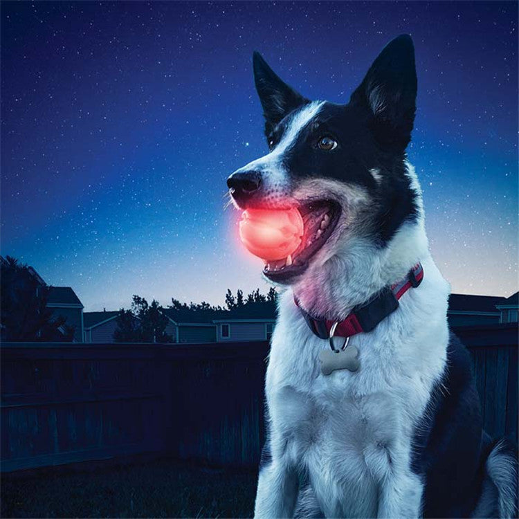 LED glowing pet dog biting ball Main image