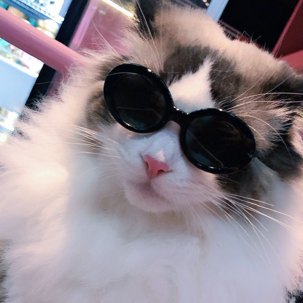 Pet Dog Cat Multi-color Sunglasses Cool Handsome Accessories Secondary image