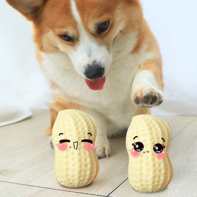 Funny Pet Dog Squeaky Toys For Small Middle Dogs Bite Resistant Puppy Cat Dogs Toys Pets Rubber Peanut Clean Tooth Chew Toy Main image