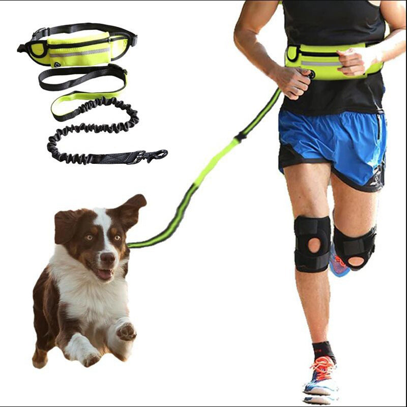 Hands Free Dog Leash Pet Main image