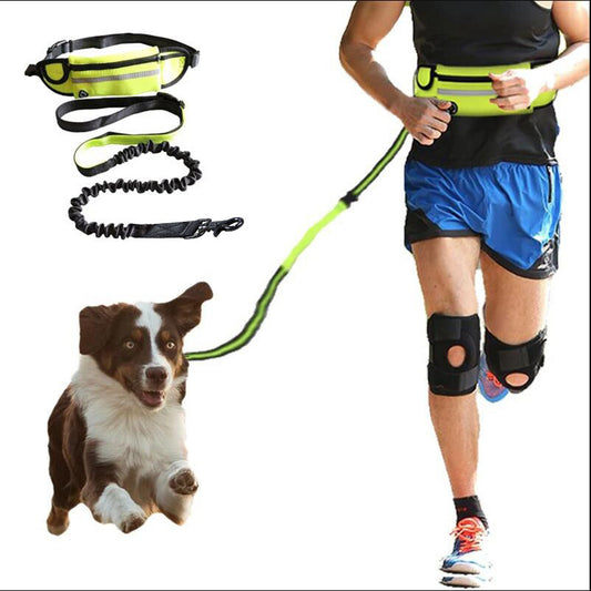 Hands Free Dog Leash Pet