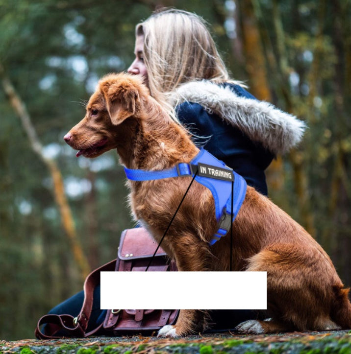 Personalize Per harnessPersonalize Per harness Secondary image