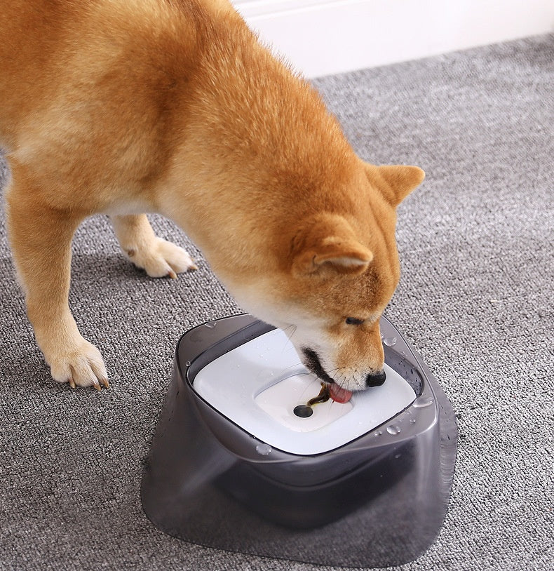 Pet Dog Bowl Floating