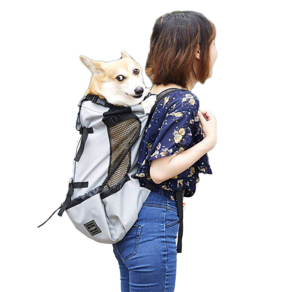Dog backpack pet backpack go out and carry Secondary image