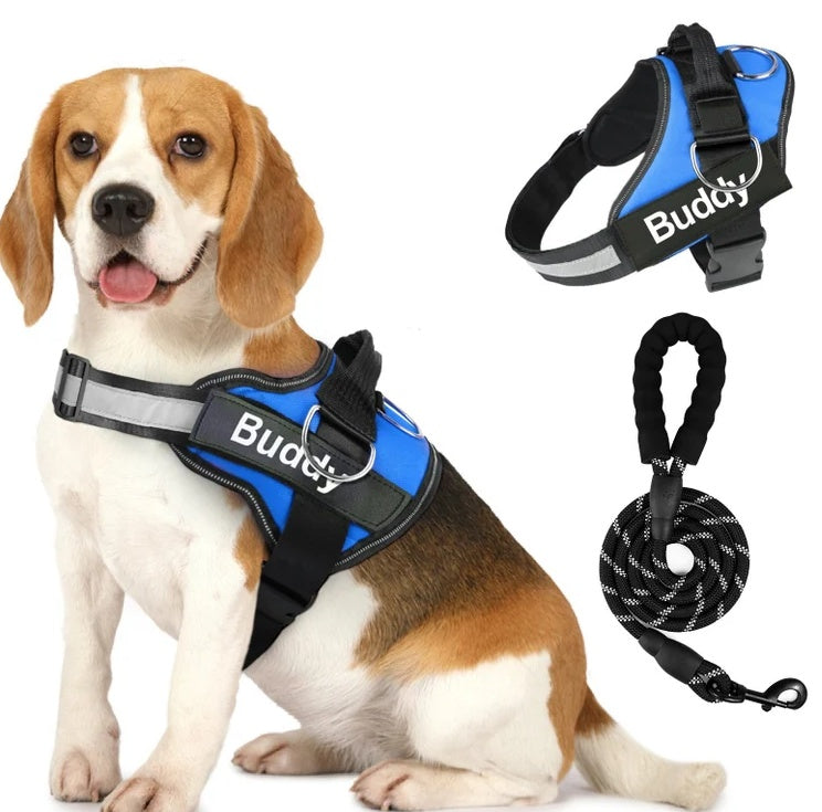 Pet Clothing Dog Couple