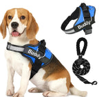 Pet Clothing Dog Couple