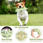 New Pet Toy Chew Teeth Stick Dog Toy Ball Bite Resistant Interaction