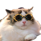 Pet Dog Cat Multi-color Sunglasses Cool Handsome Accessories