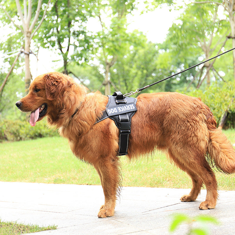 Personalization Of Pet Chest Strap Products Main image