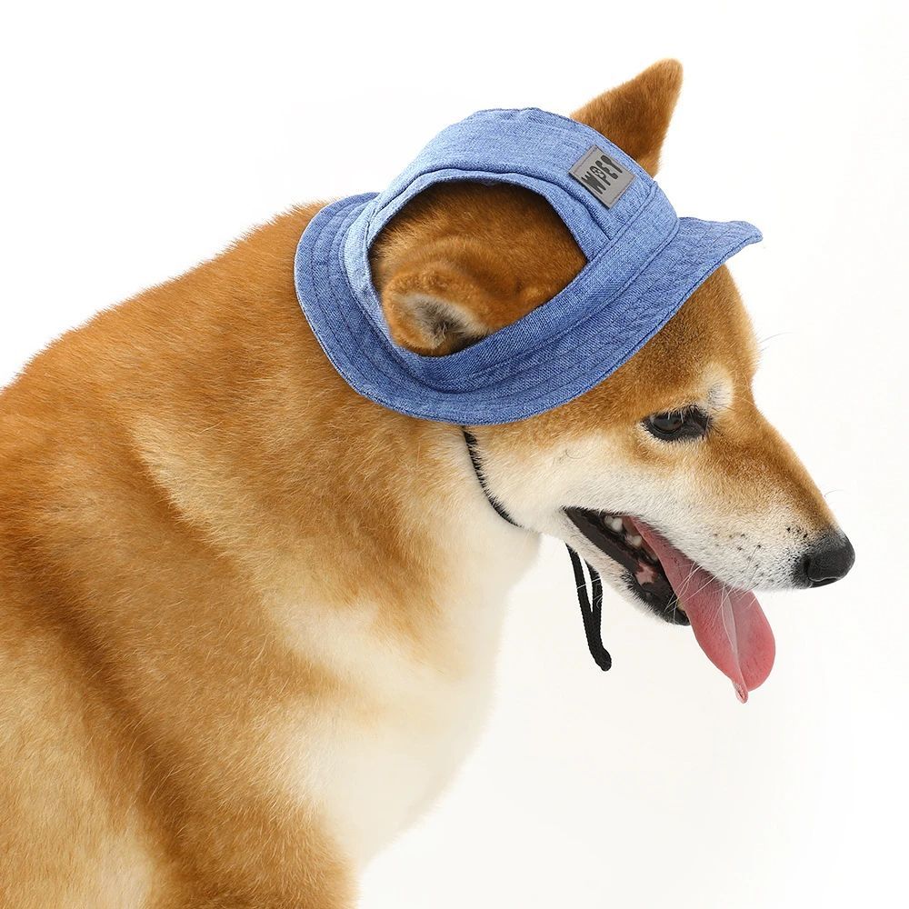 Pet Hat With Ear Holes For Medium