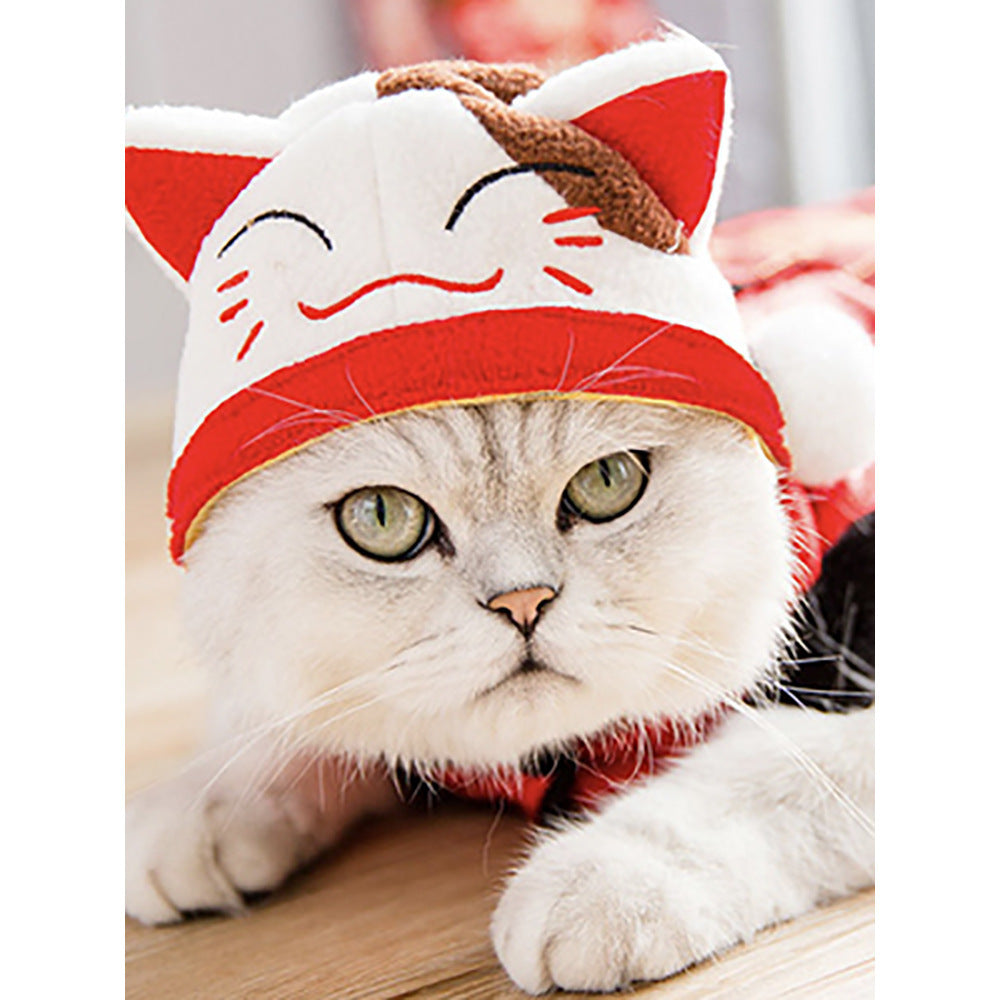 Curly Hair Pet Hat Cat Funny Dress Up Pet Products Main image