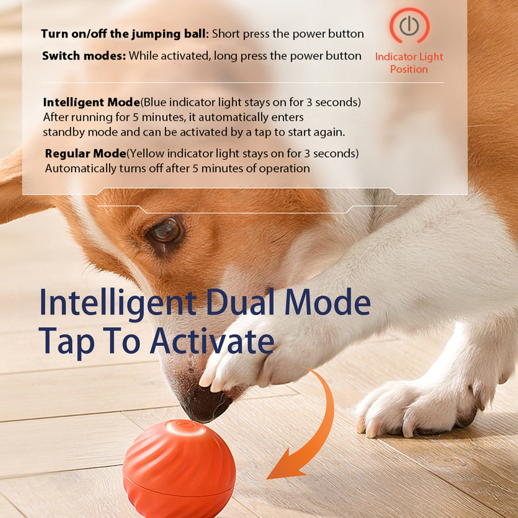 Interactive Bouncing Ball For Dogs,Automatic Smart Toy, Self-moving Rotating Stimulating Pet Entertainment, Noise-Reducing Urchin Cover,USB Rechargeable Dog Toy, Dog Electric Interactive Toy