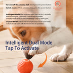 Interactive Bouncing Ball For Dogs,Automatic Smart Toy, Self-moving Rotating Stimulating Pet Entertainment, Noise-Reducing Urchin Cover,USB Rechargeable Dog Toy, Dog Electric Interactive Toy