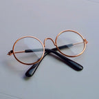 Pet photo glasses