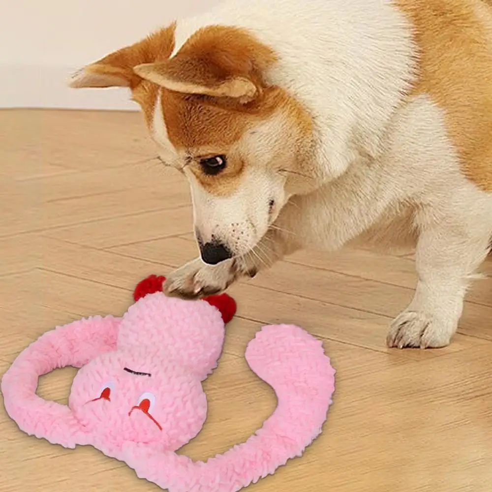 Dog Teething Toys Bunny Squeaky Pet