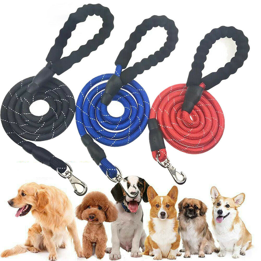 Dogs Leash Running Elasticity Hand Freely Pet Products Dogs Harness Collar Jogging Lead And Adjustable Waist Rope Puppy Leash Lead Training Padded Handle Reflective Main image
