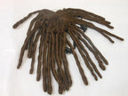 High Temperature Wire For Dogs Can Dye Wigs