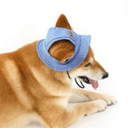 Pet Hat With Ear Holes For Medium