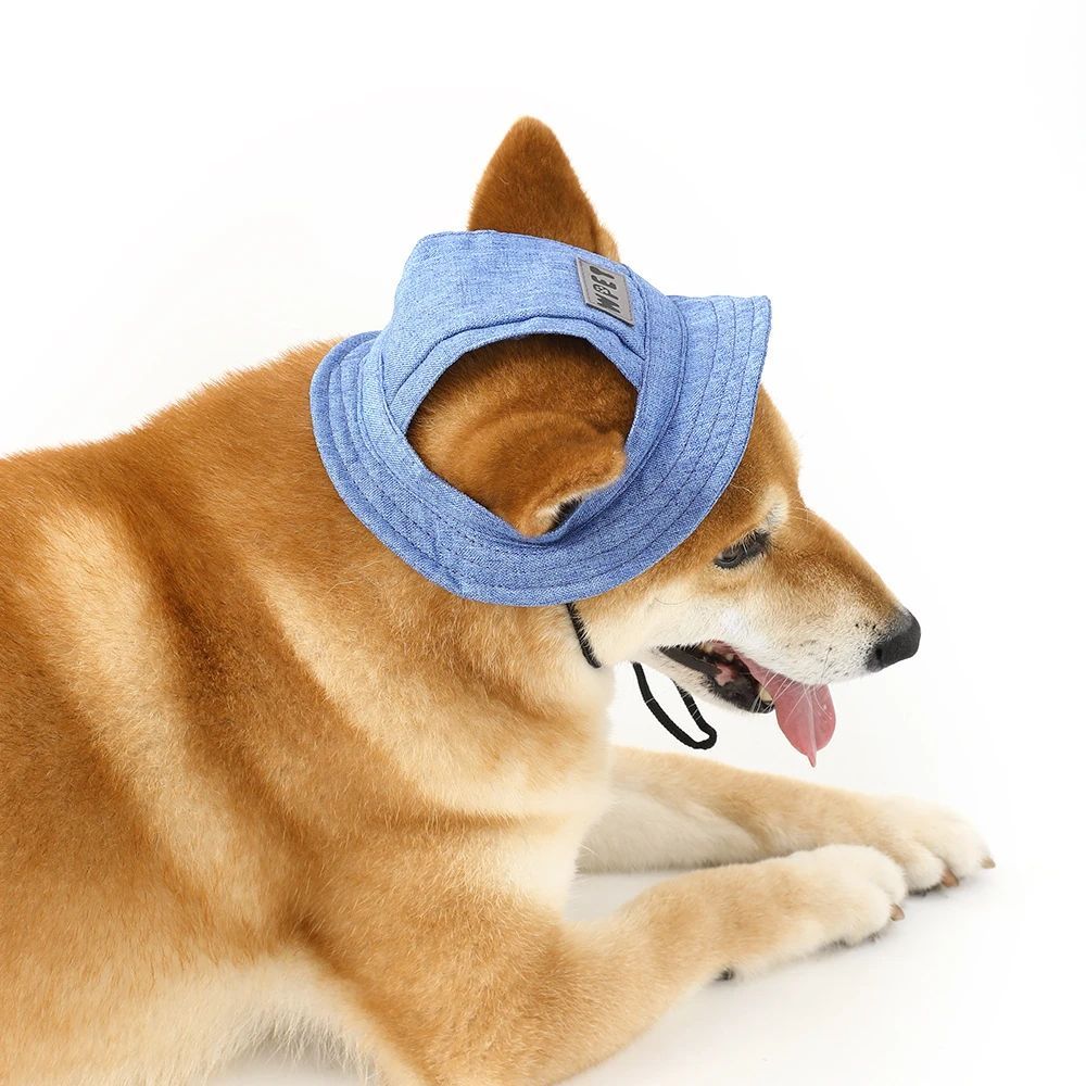 Pet Hat With Ear Holes For Medium