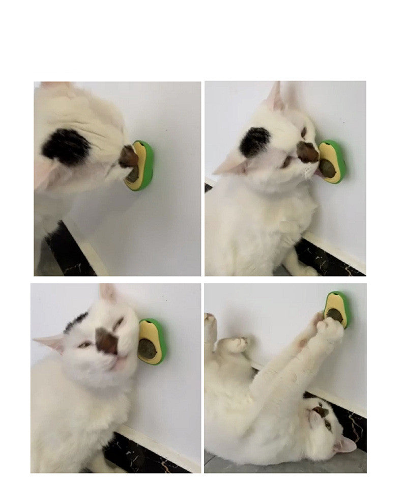 Cat enjoying the avocado catnip toy while interacting and playing with it on a wall.
