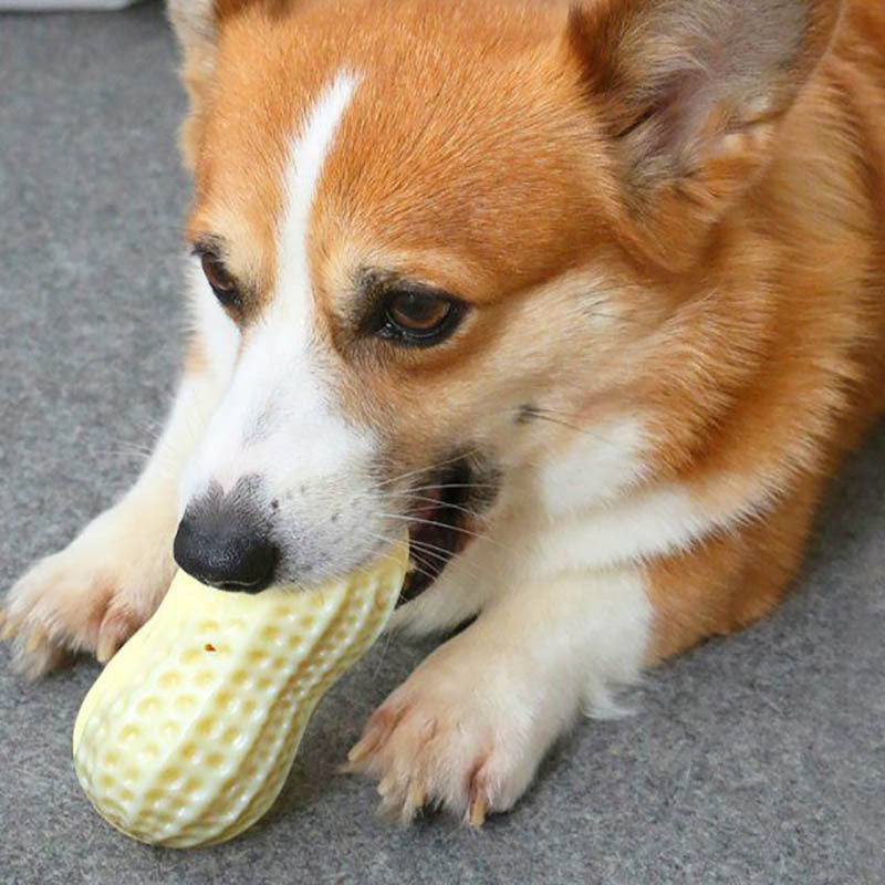 Funny Pet Dog Squeaky Toys For Small Middle Dogs Bite Resistant Puppy Cat Dogs Toys Pets Rubber Peanut Clean Tooth Chew Toy Secondary image