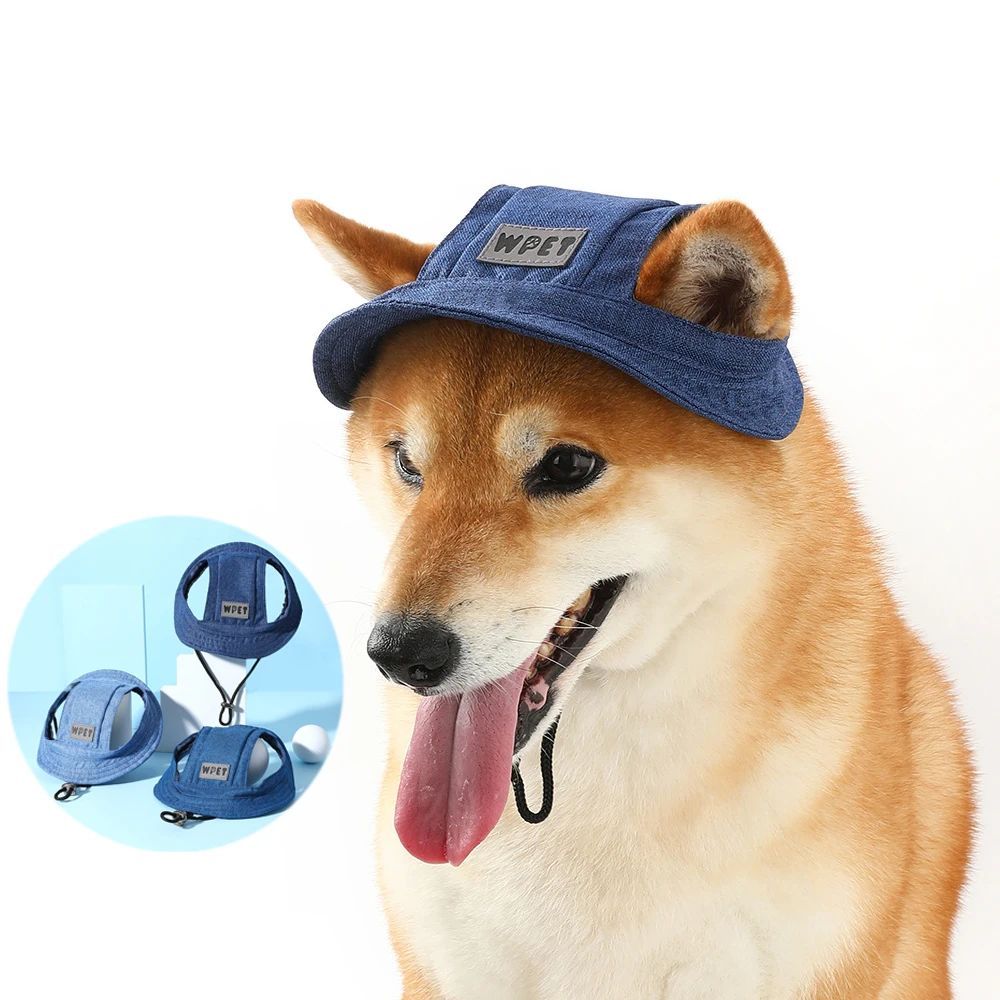 Pet Hat With Ear Holes For Medium