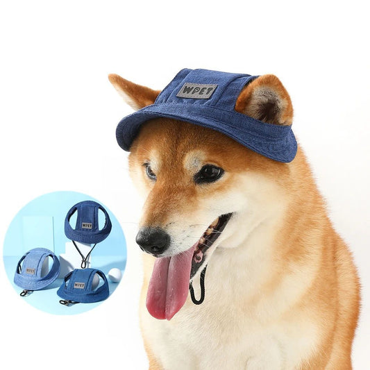 Pet Hat With Ear Holes For Medium