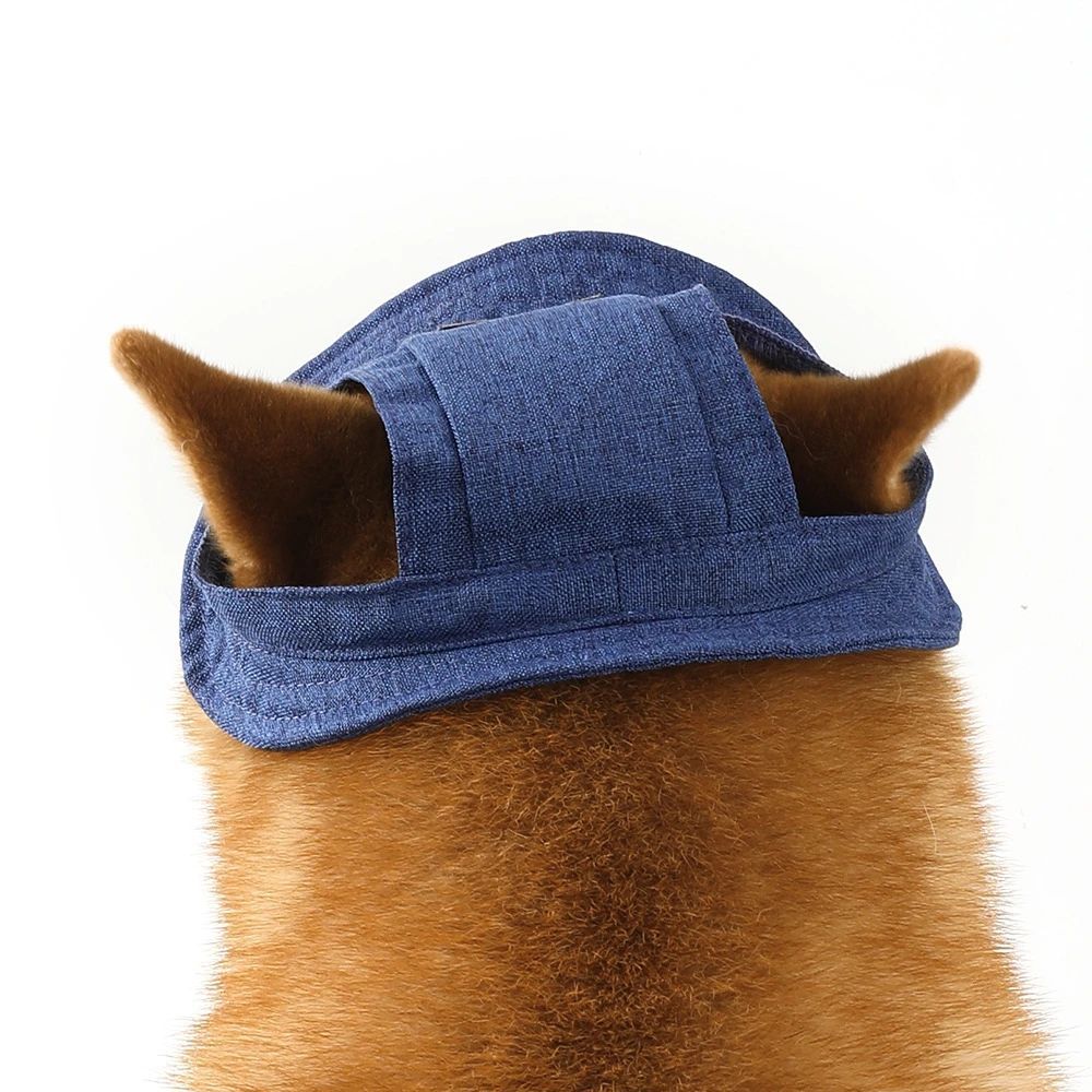 Pet Hat With Ear Holes For Medium