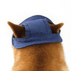 Pet Hat With Ear Holes For Medium