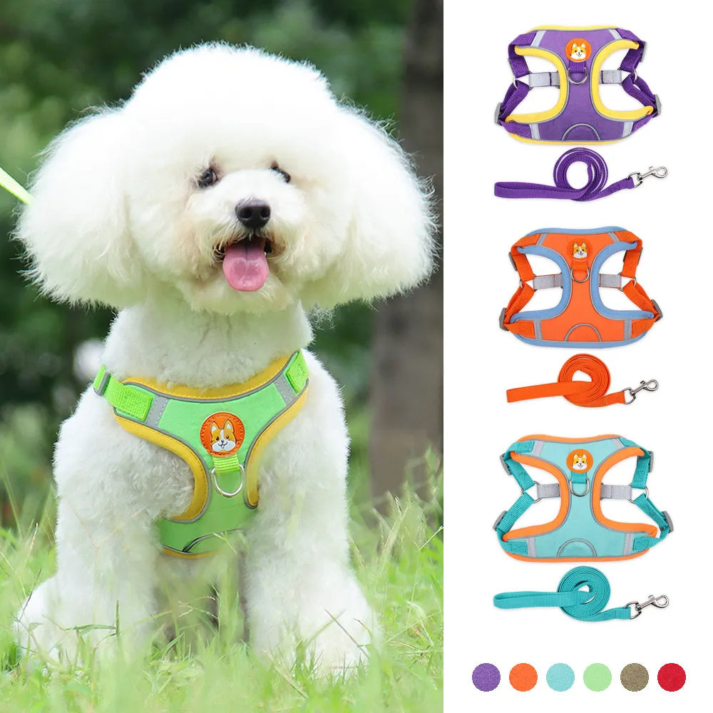 New Dog Leash And Harness Set Pet Dog Harness And Leash Set Adjustable Puppy Cat Harness Vest Reflective Walking No Pull Lead Leash For Small Dogs Chihuahua Main image