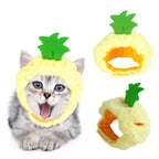 Curly Hair Pet Hat Cat Funny Dress Up Pet Products