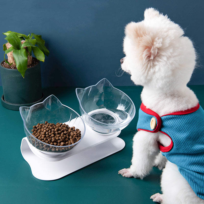 Inclined Cat Food Bowl Main image