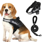 Pet Clothing Dog Couple