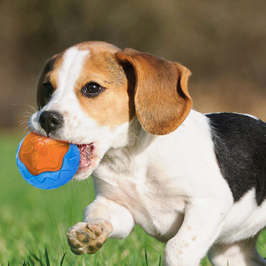 Dog Toy Ball Audible Glow Can Float Grinding Teeth Pets Toy Main image